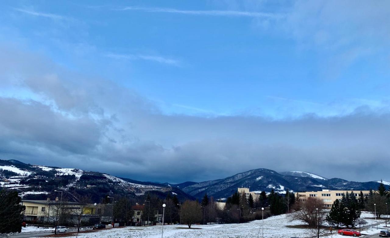 Bl - The Executive Suite, Boru - 24Hr Self Check-In, Free Private Parking, Balcony With Mountain View, 5 Minute Walk To City Center Banská Bystrica Buitenkant foto