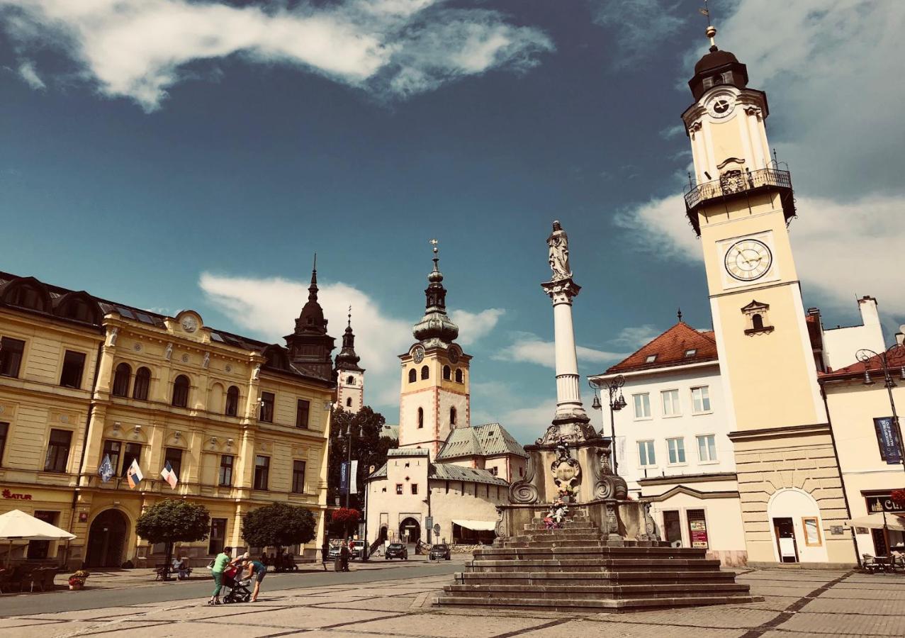 Bl - The Executive Suite, Boru - 24Hr Self Check-In, Free Private Parking, Balcony With Mountain View, 5 Minute Walk To City Center Banská Bystrica Buitenkant foto