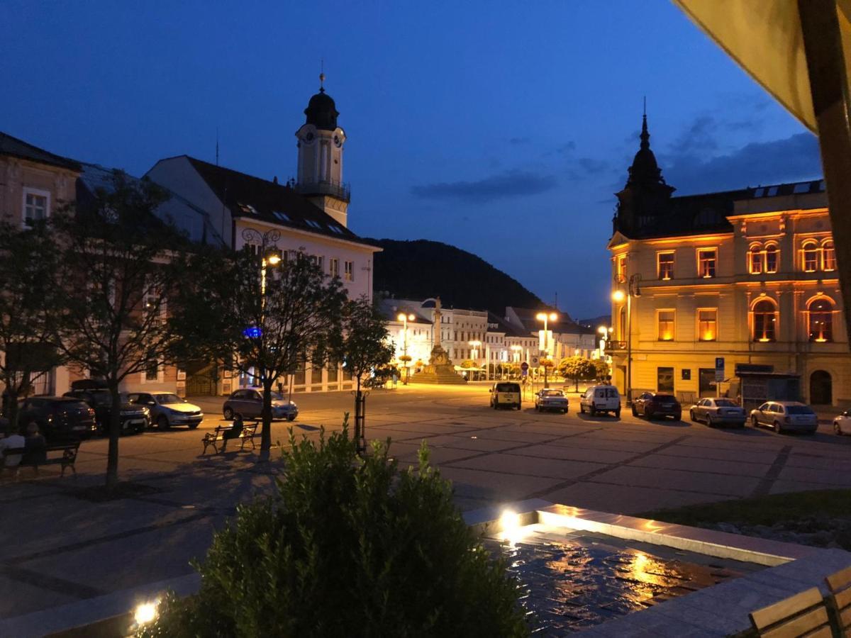 Bl - The Executive Suite, Boru - 24Hr Self Check-In, Free Private Parking, Balcony With Mountain View, 5 Minute Walk To City Center Banská Bystrica Buitenkant foto